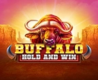 Buffalo Hold And Win